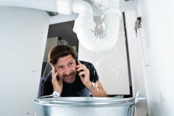 Best Drain Cleaning Services  in Wellington, CO