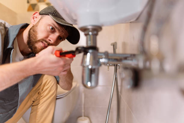 Best Clogged Drain Plumber  in Wellington, CO